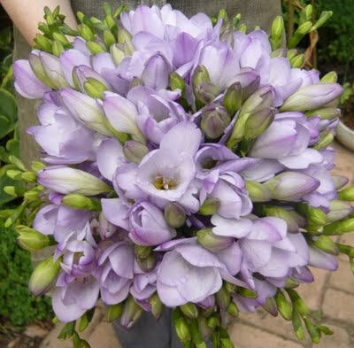 [images-058-spriggs-florist5.jpg]