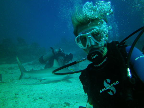 shark-diving-st-martin.jpg Shark diving st martin