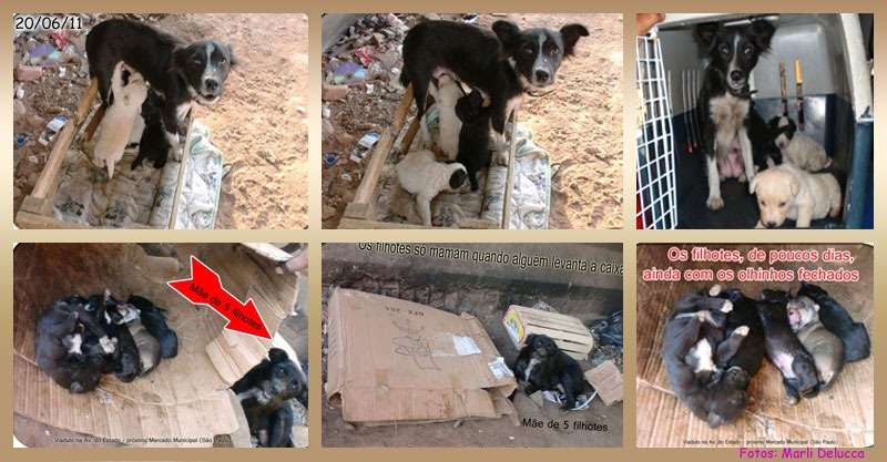 [resgates_junho03%255B3%255D.jpg]