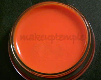 SLEEK MAKEUP CARIBBEAN COLLECTION POUT POLISH ARUBA SWATCHES SLEEK MAKEUP CARIBBEAN COLLECTION POUT POLISH ARUBA SWATCHES