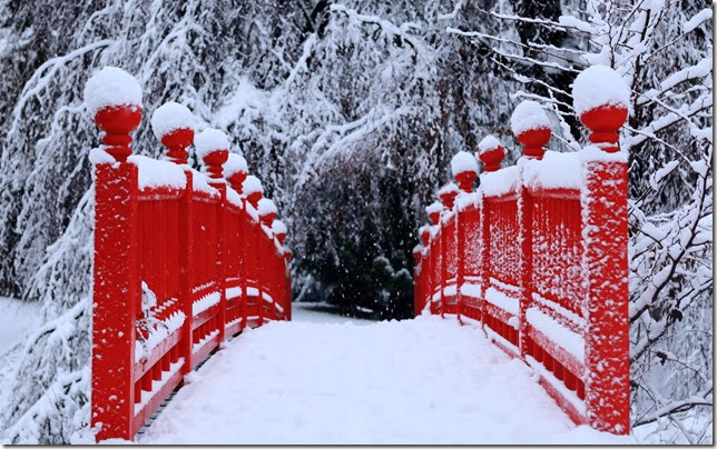 Winter-Season-Snow-Trees-Red-Bridges Winter-Season-Snow-Trees-Red-Bridges