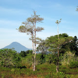 Klabat from Tangkok National Park (Andy Dean, September 2009)