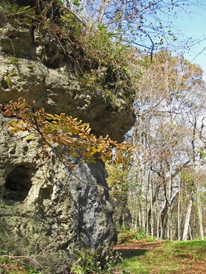 Brush Creek Canyon 10.16.11 (12)