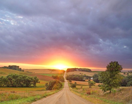 goldensunset goldensunset