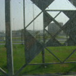View album