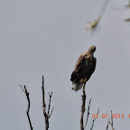 DSCN9659.JPG
