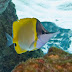 Crw_8299-2
