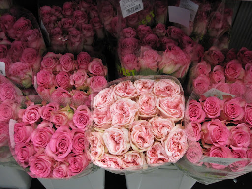You can see a difference in the different styles of roses in this photograph.