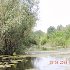DSCN8304.JPG