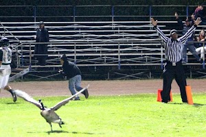 NCS2 Miramonte_1523.JPG