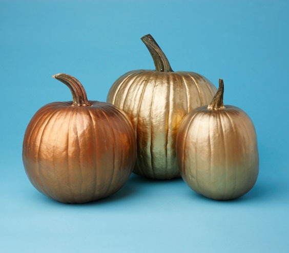 [gold%2520pumpkins%255B4%255D.jpg]