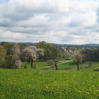 IMG_5040.JPG
