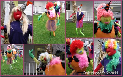 Wolfeboro ladies collage Wolfeboro ladies collage