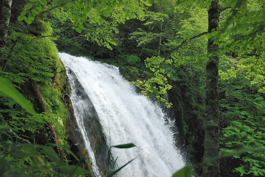 材木滝