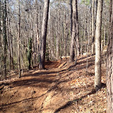 DogwoodDellTrailConstruction DogwoodDellTrailConstruction