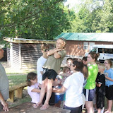 elementary week 2011 - IMG_2596.JPG