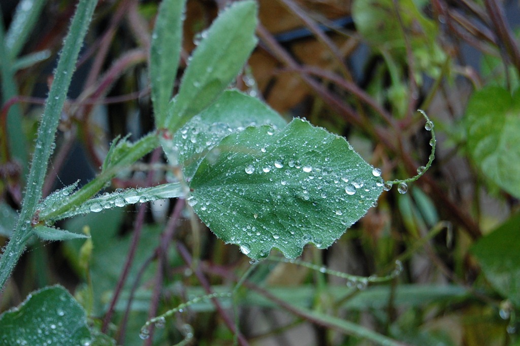 [DSC_0016%255B4%255D.jpg]