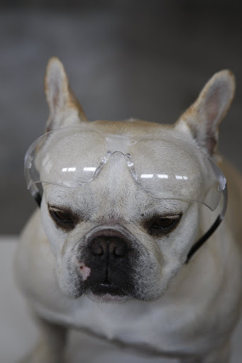Before we get started, let's make sure our safety glasses are nearby.