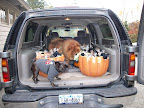Hurry, Uncle Carlos!  We really should get to the gate.  We don't want to disappoint any children.