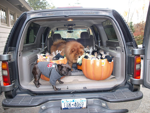 Hurry, Uncle Carlos!  We really should get to the gate.  We don't want to disappoint any children.