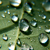 Sept 2010