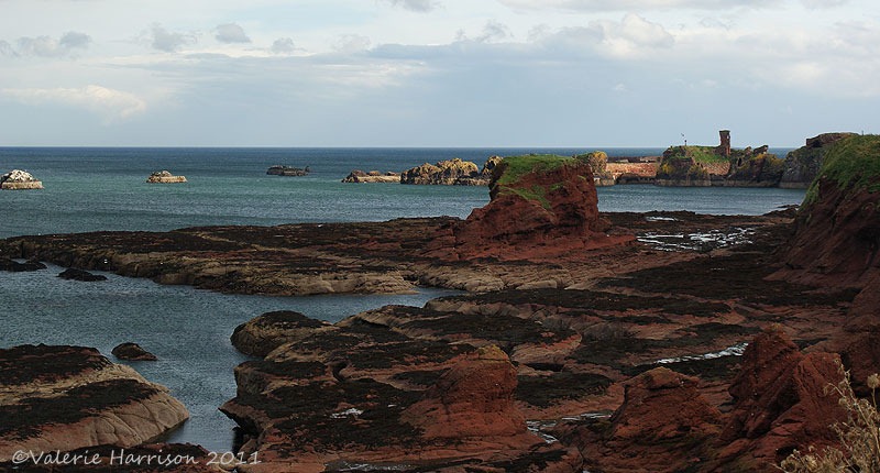 [32-red-rocks%255B2%255D.jpg]