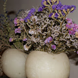 DSC00919.JPG