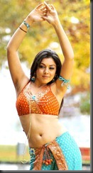 hansika-motwani dream look