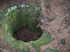 mount_st._hellens