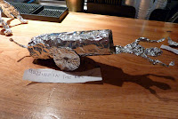 Todd's tin-foil cannon