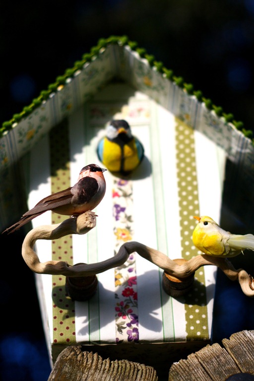 [Bird%2520house-003%255B5%255D.jpg]