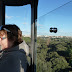 P1020564.JPG