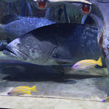 IMG_4806.JPG