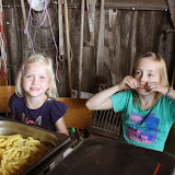 IMG_9673.jpg
