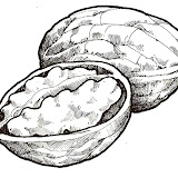 nuez-1.jpg