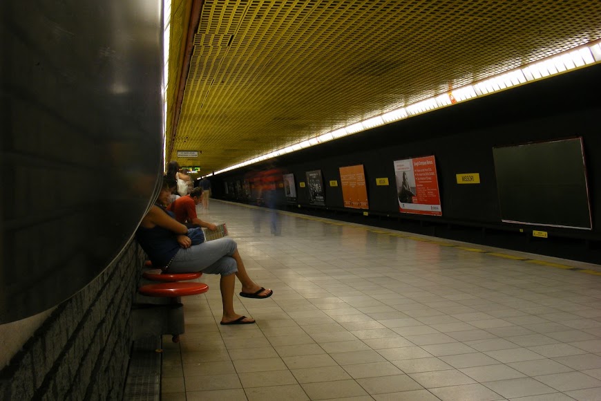 DSCF0800.JPG