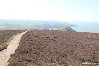 IMG_6031.JPG Photo