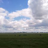 Hollands panorama met Rotterdam op de achtergrond Hollands panorama met Rotterdam op de achtergrond