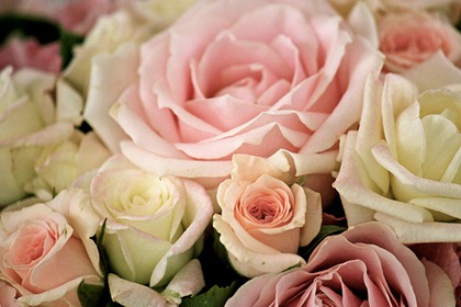 tumblr_lyi3372w971qzipvbo1_500