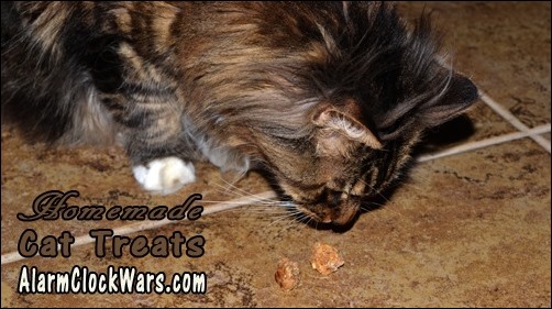 homemade cat treats