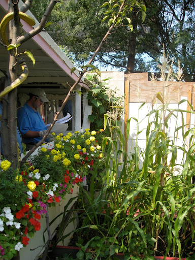 Rob Bennaton, one of the garden program managers, in front of this vegetable garden's casita, or little house. This one is bedecked with window boxes for a cheerful look.