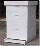 hive1