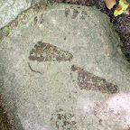 くれよん京都 5月100.jpg