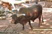 DSC_0156-1.JPG