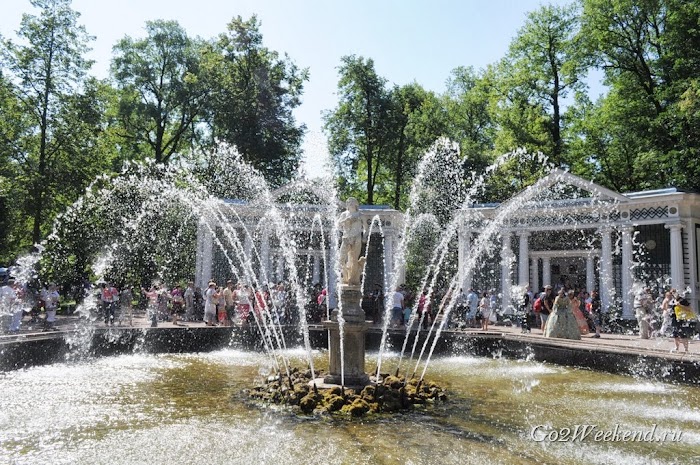 Peterhof 21