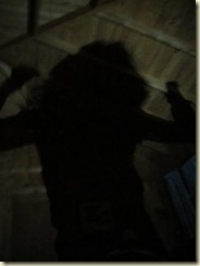IMG_2289 IMG_2289