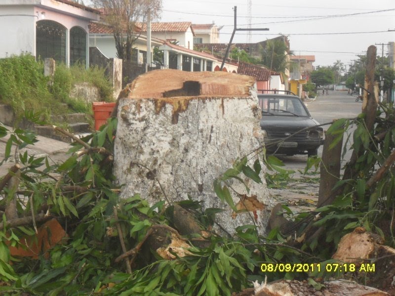 [mnagueira3%255B2%255D.jpg]