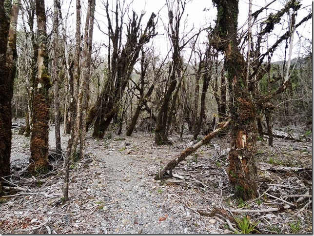 Carretera_Austral_DSC01618