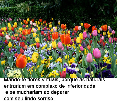 FRASES, MENSAGENS CARINHOSAS, PARTILHANDO AMOR.