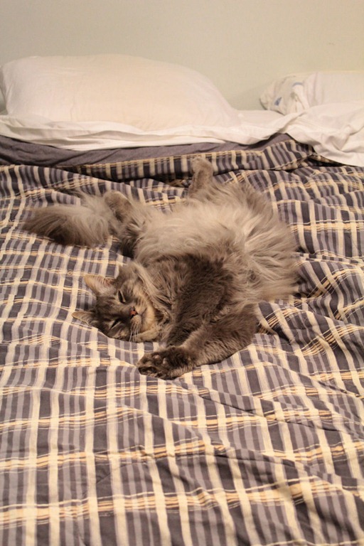 [IMG_2076-1%255B4%255D.jpg]